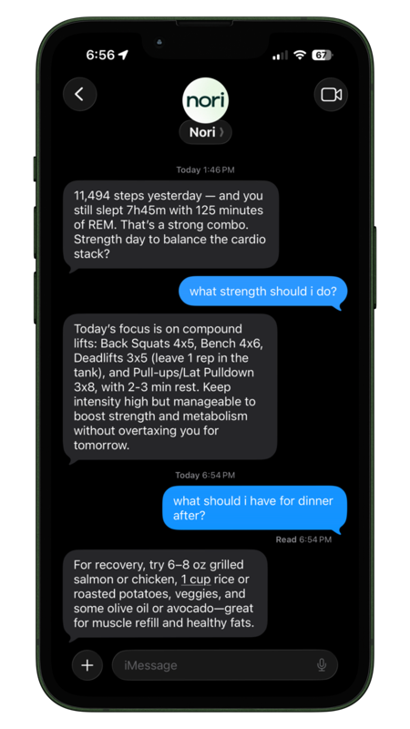 Nori iMessage conversation showing workout and meal plans